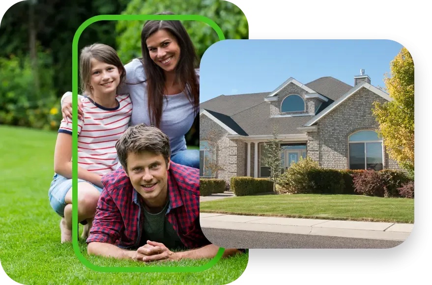 Turf Doctor lawn transformation